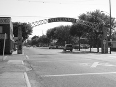 Williams Arch