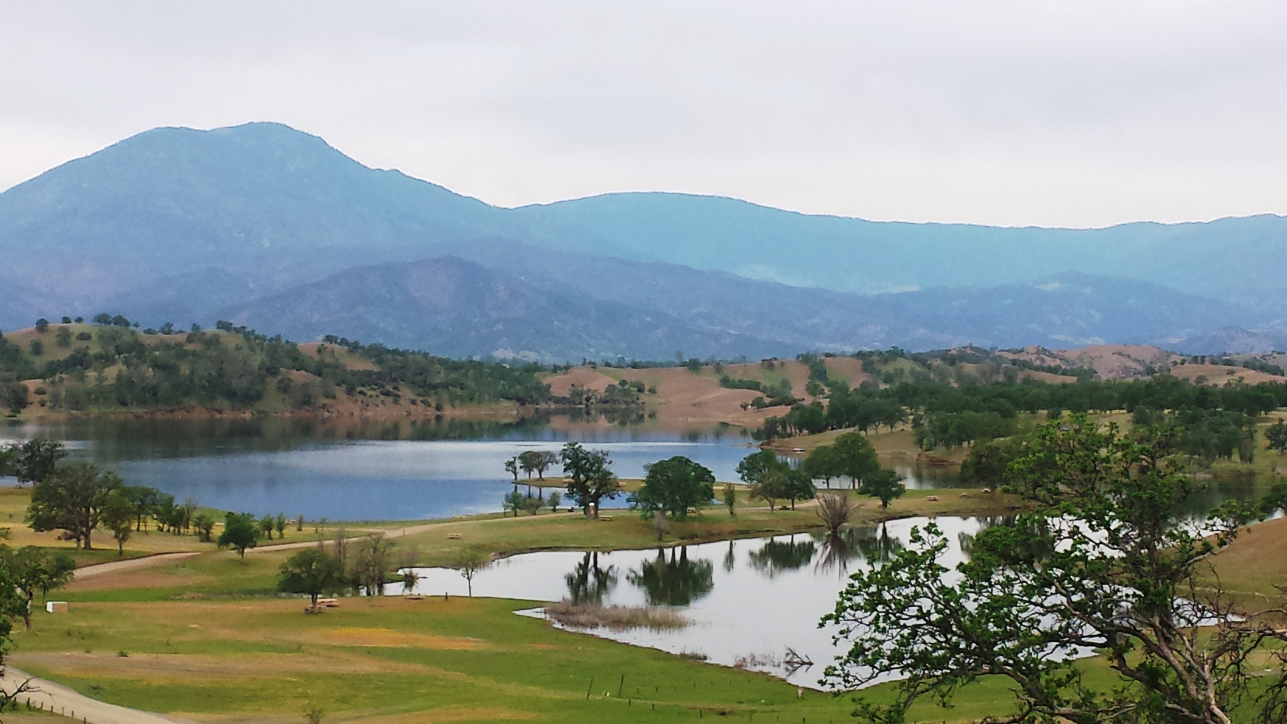 Full View of East Park