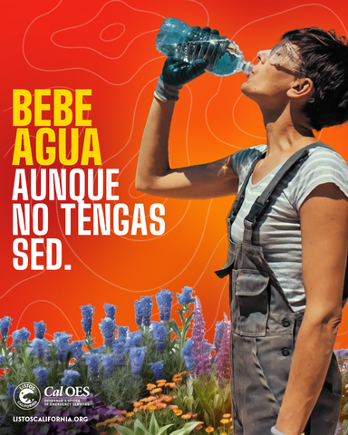Bebe Agua